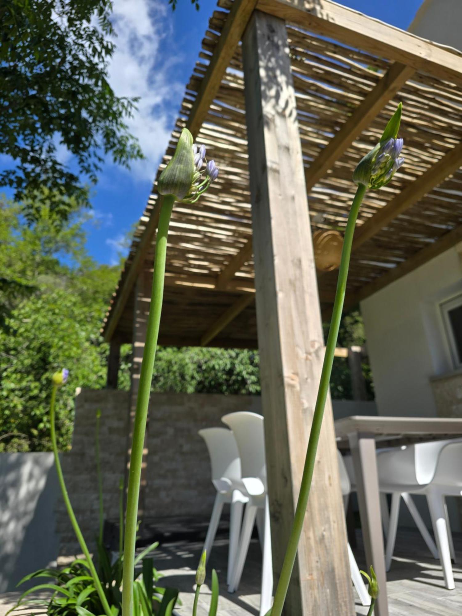 Petite Maison - Porto-Vecchio Ngoại thất bức ảnh